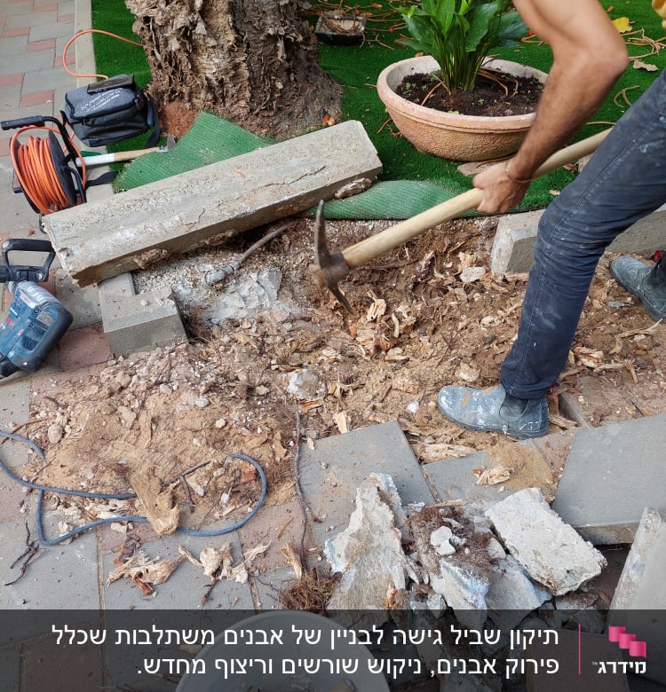 אדם חופר באדמה עם מכוש ליד עץ